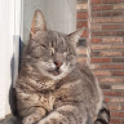 Emilie zoekt een Studio in Gent