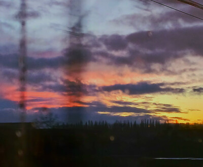 Bazhena Postup zoekt een Kamer / Studio in Gent