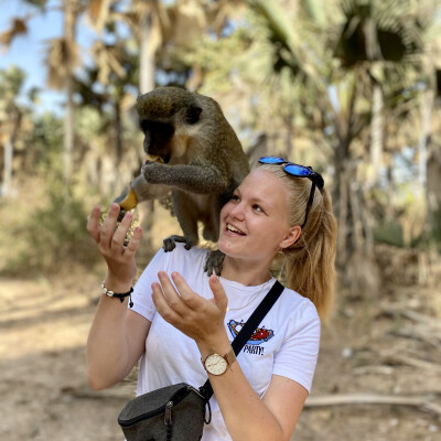 Laura zoekt een Kamer / Appartement / Studio in Gent