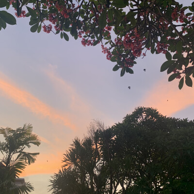 Iluh zoekt een Kamer / Appartement / Studio in Gent